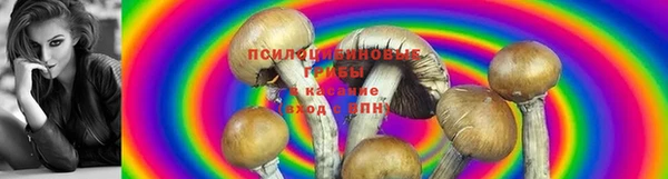 шишки Нефтегорск